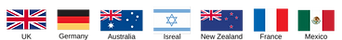 flag banner for website.png
